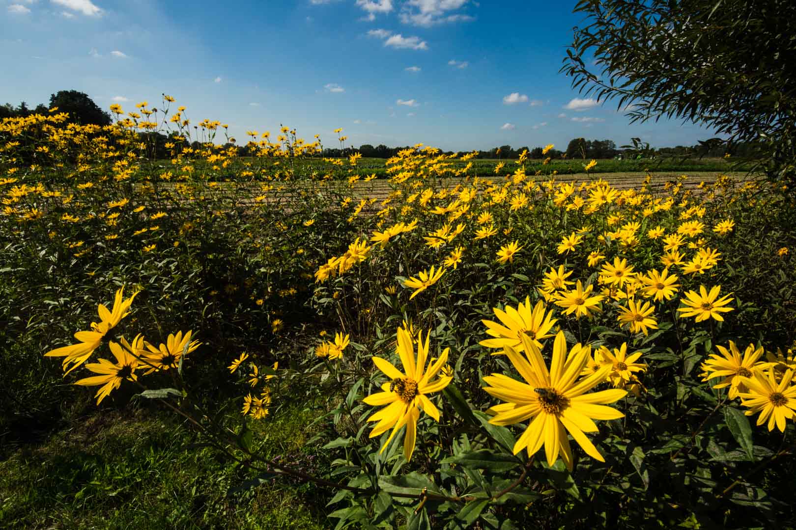Himmel-Landschaft-Kontraste