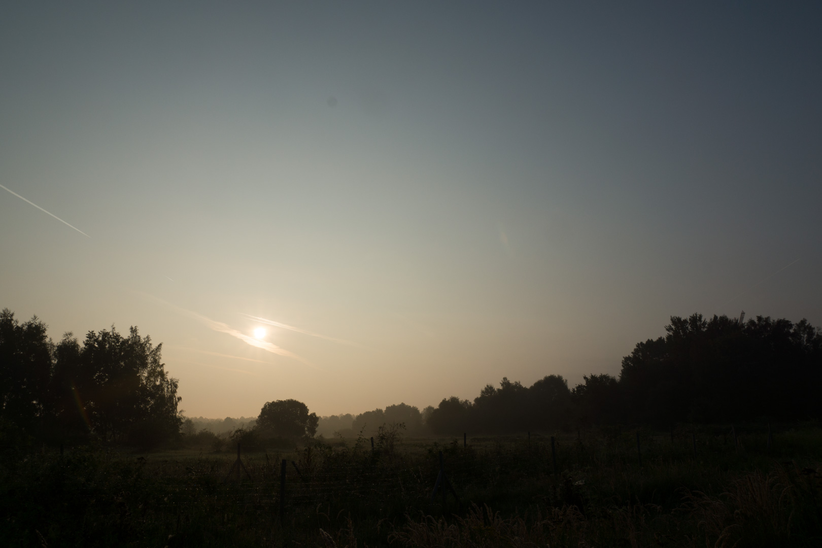 Morgentau
