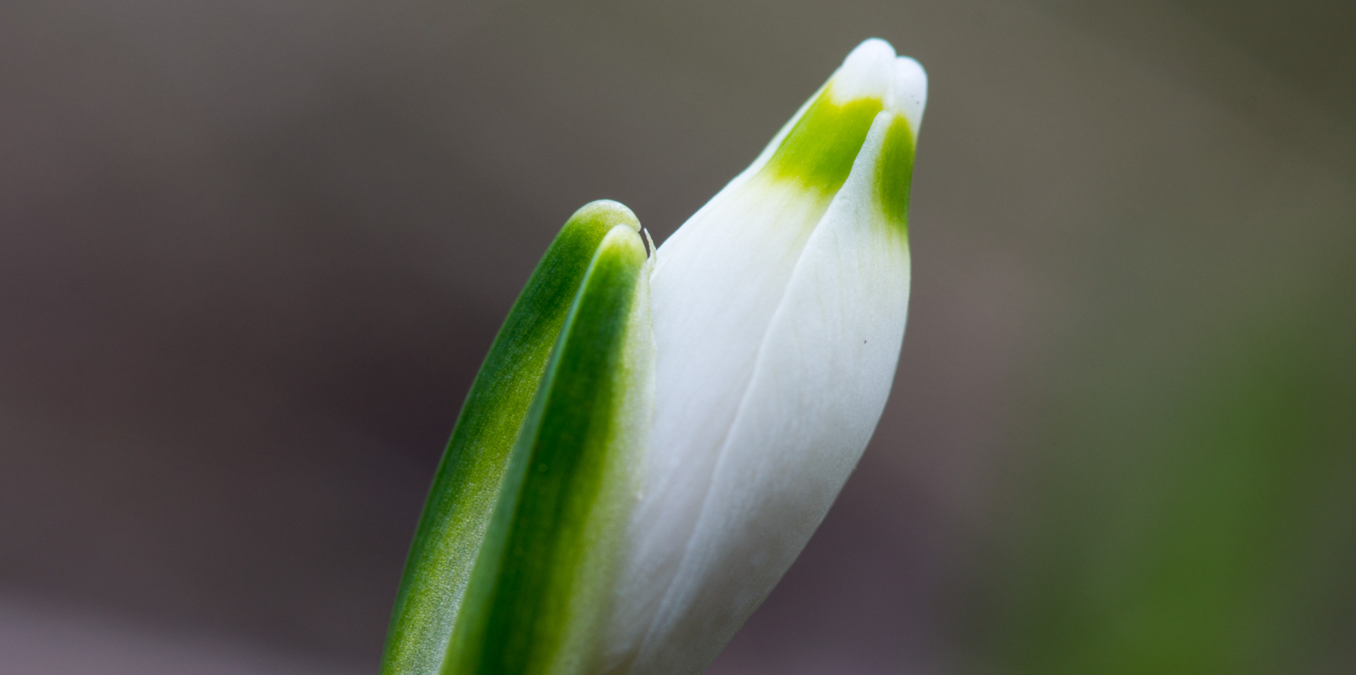 Sonne im Februar