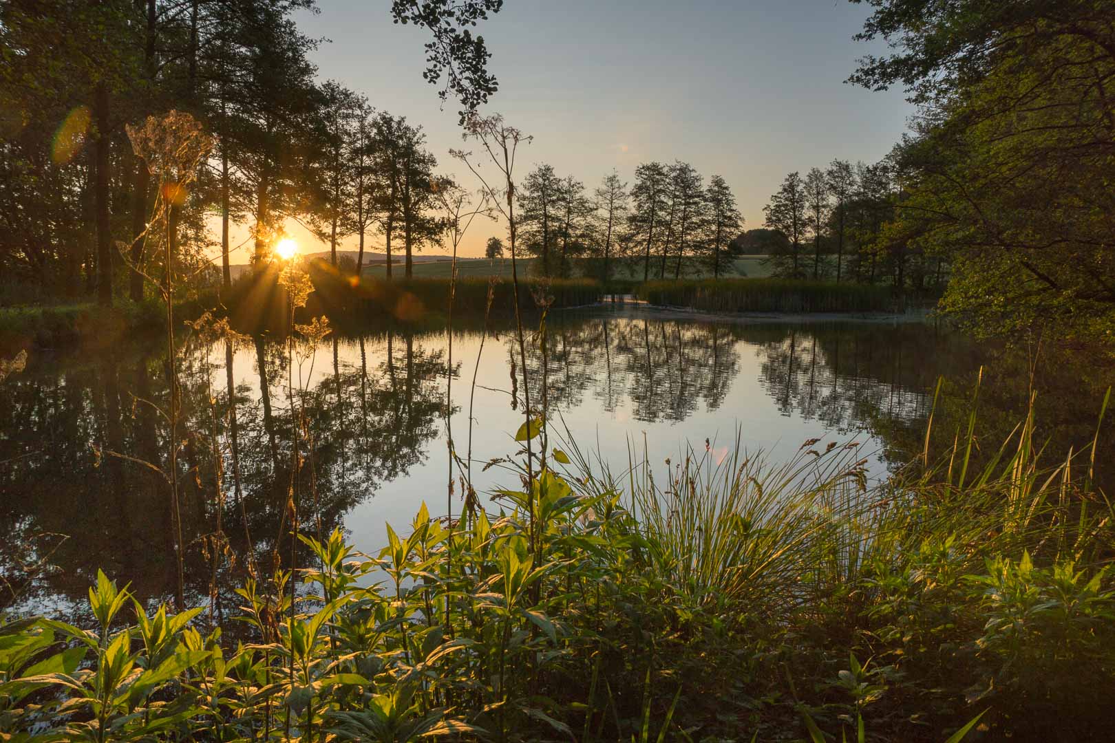 Frühmorgens am Schwanenweiher