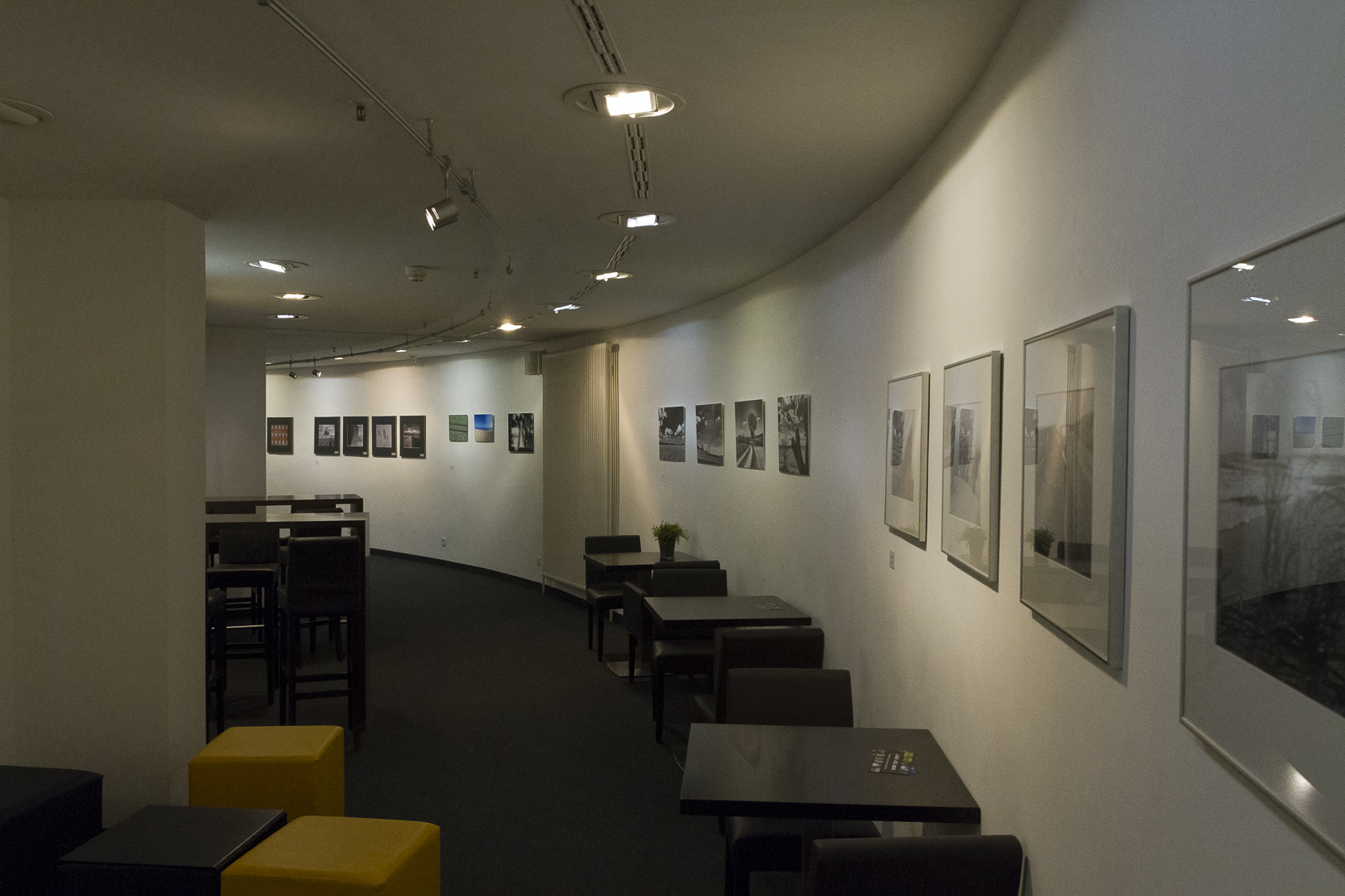 Eröffnung der Fotoausstellung „Linien und Wege“