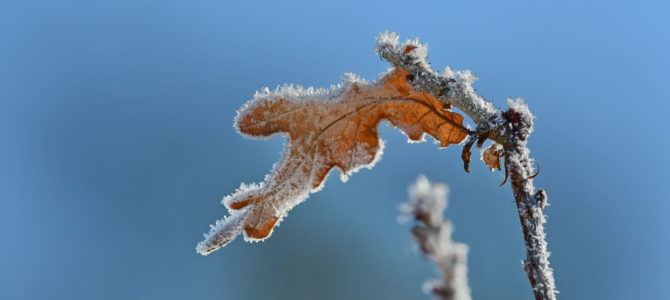 Winterimpressionen